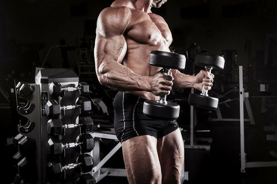 Sustanon 250 Sport für Anfänger Sustanon 250 Sport für Anfänger